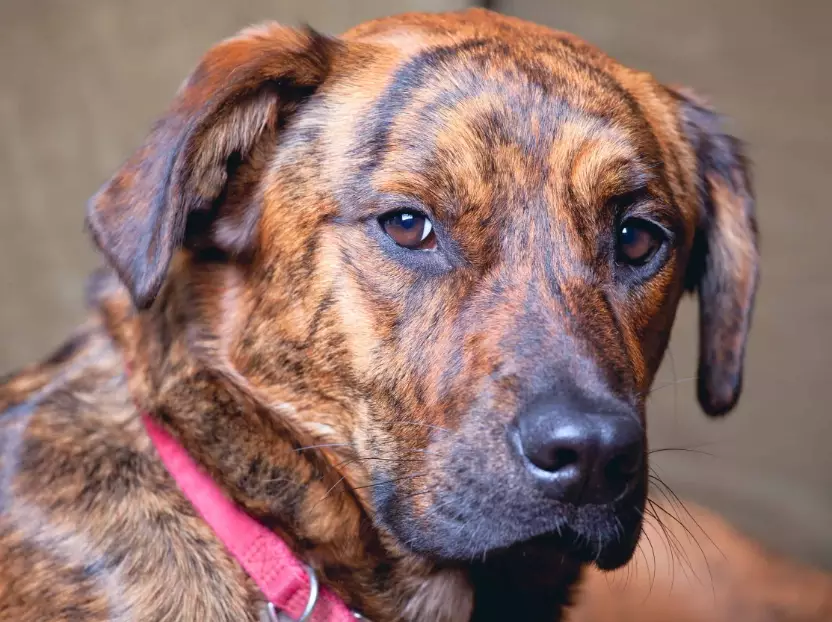 data visualization tools