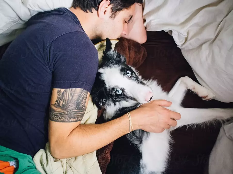 Australian Shepherd temperament